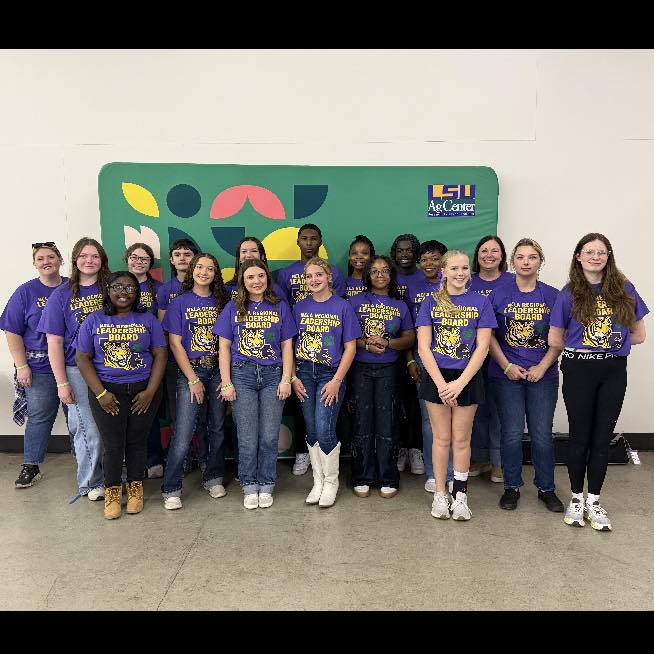 A group of teenagers wearing LSU T-shirts posing for a photo.